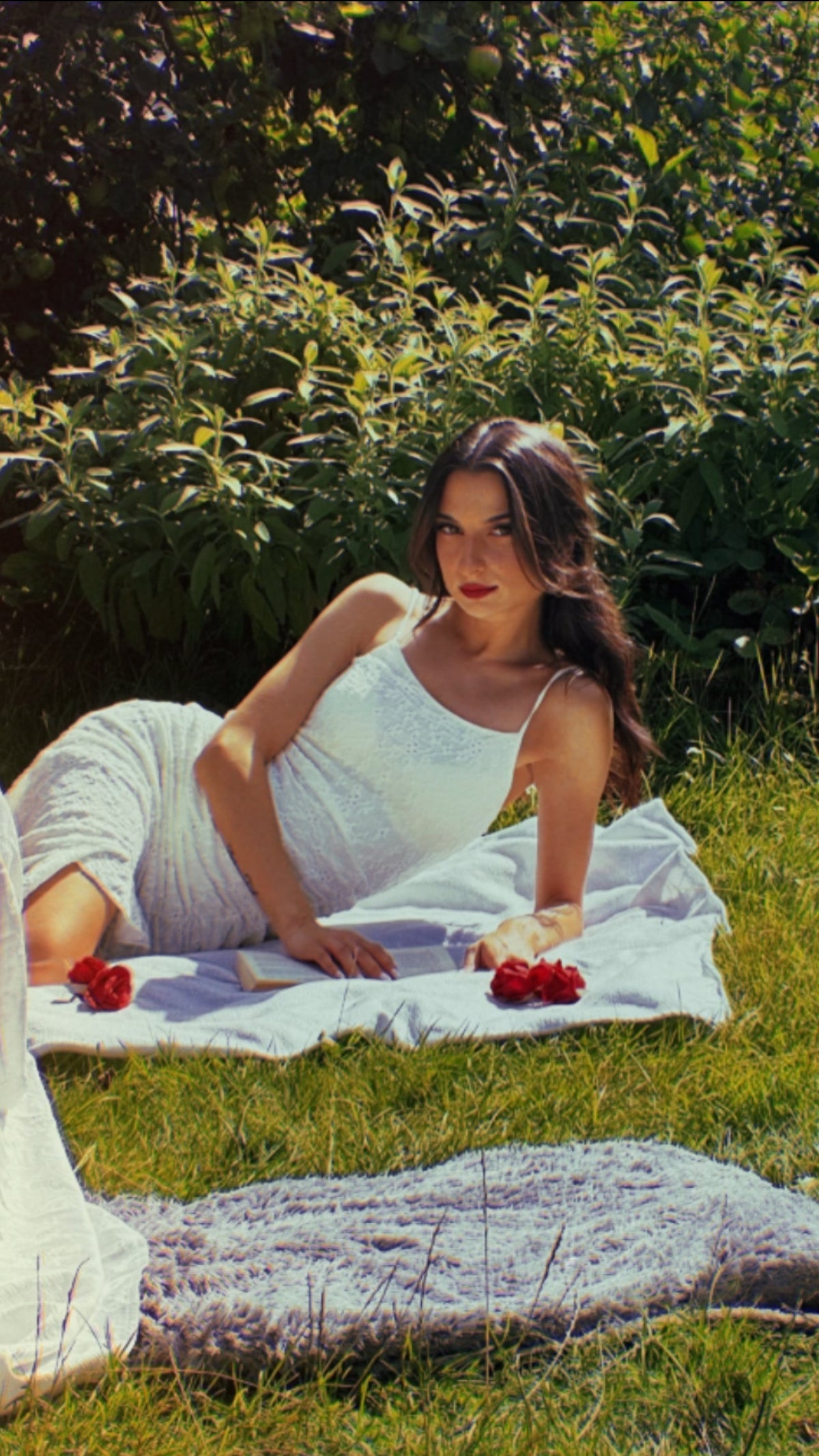 THE FAIRYTALE COLLECTION